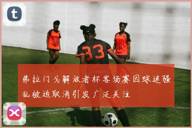 弗拉门戈解放者杯客场赛因球迷骚乱被迫取消引发广泛关注